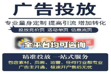成功SEM投放案例分享